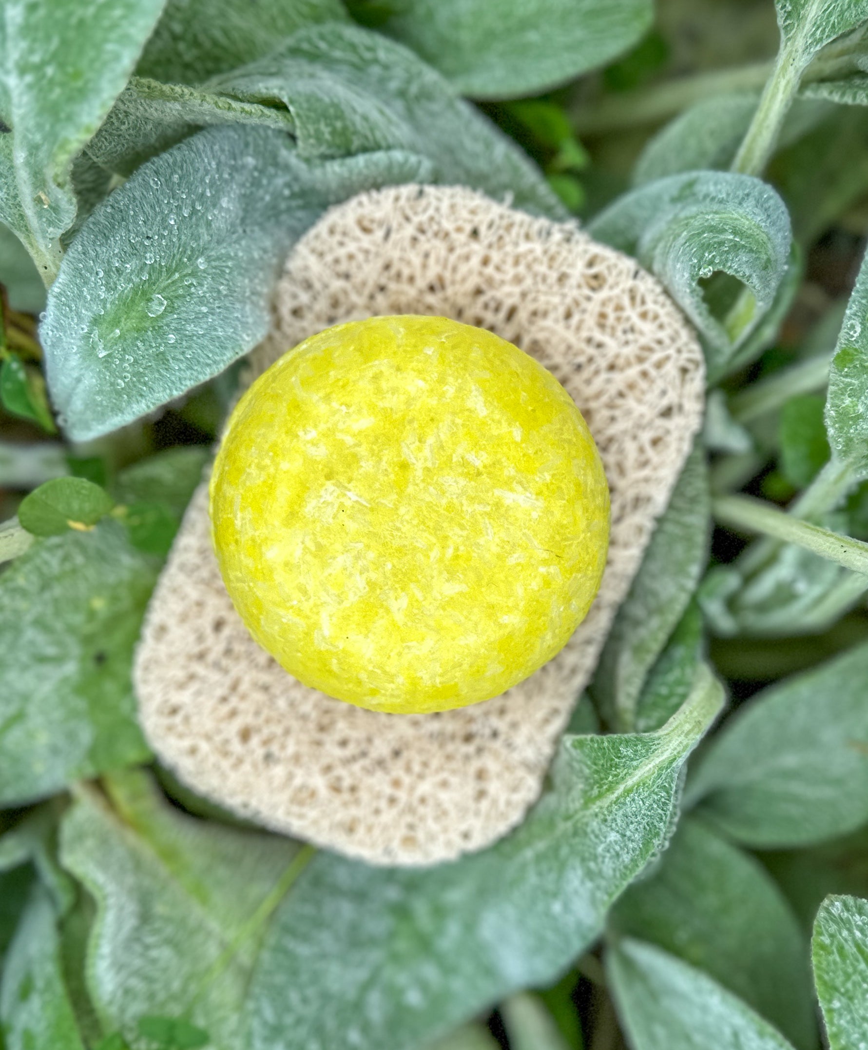 Natural Shampoo Bars