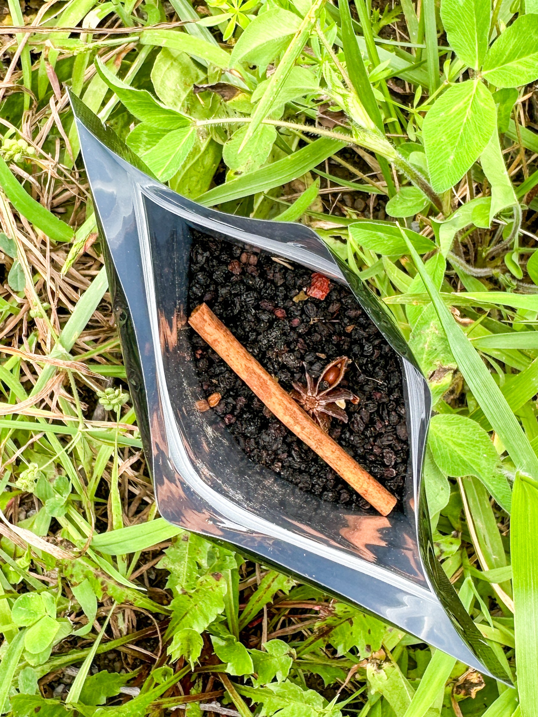 Elderberry Syrup Kit