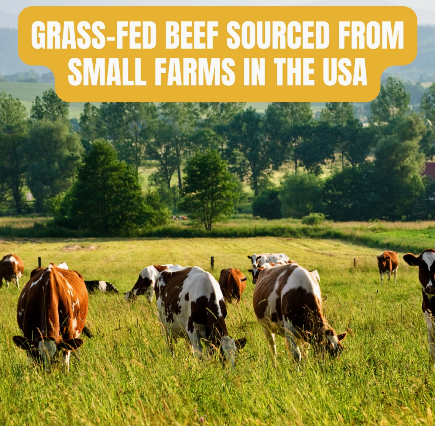 Cows grazing in a field with text about grass-fed beef sourced from small farms in the USA - Naturally Linda