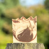 Pumpkin Spice Soap Bar