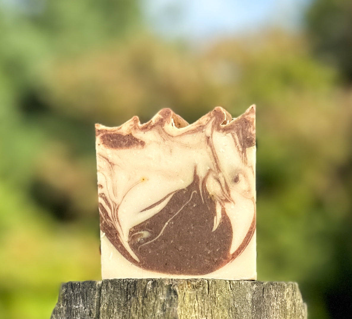 Pumpkin Spice Soap Bar
